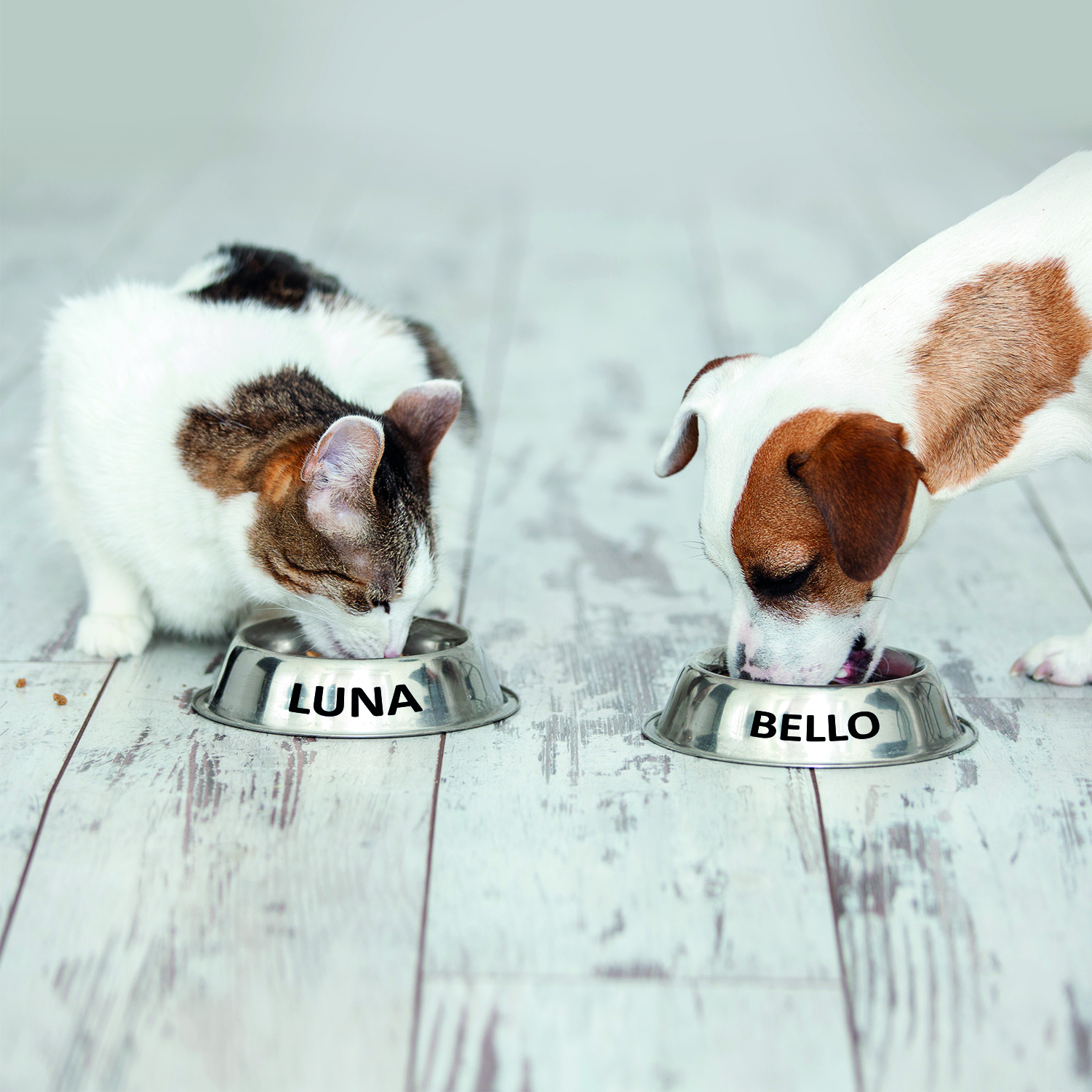 Aufkleber für Fressnapf mit Name Ihres Haustieres Sticker Hund Katze