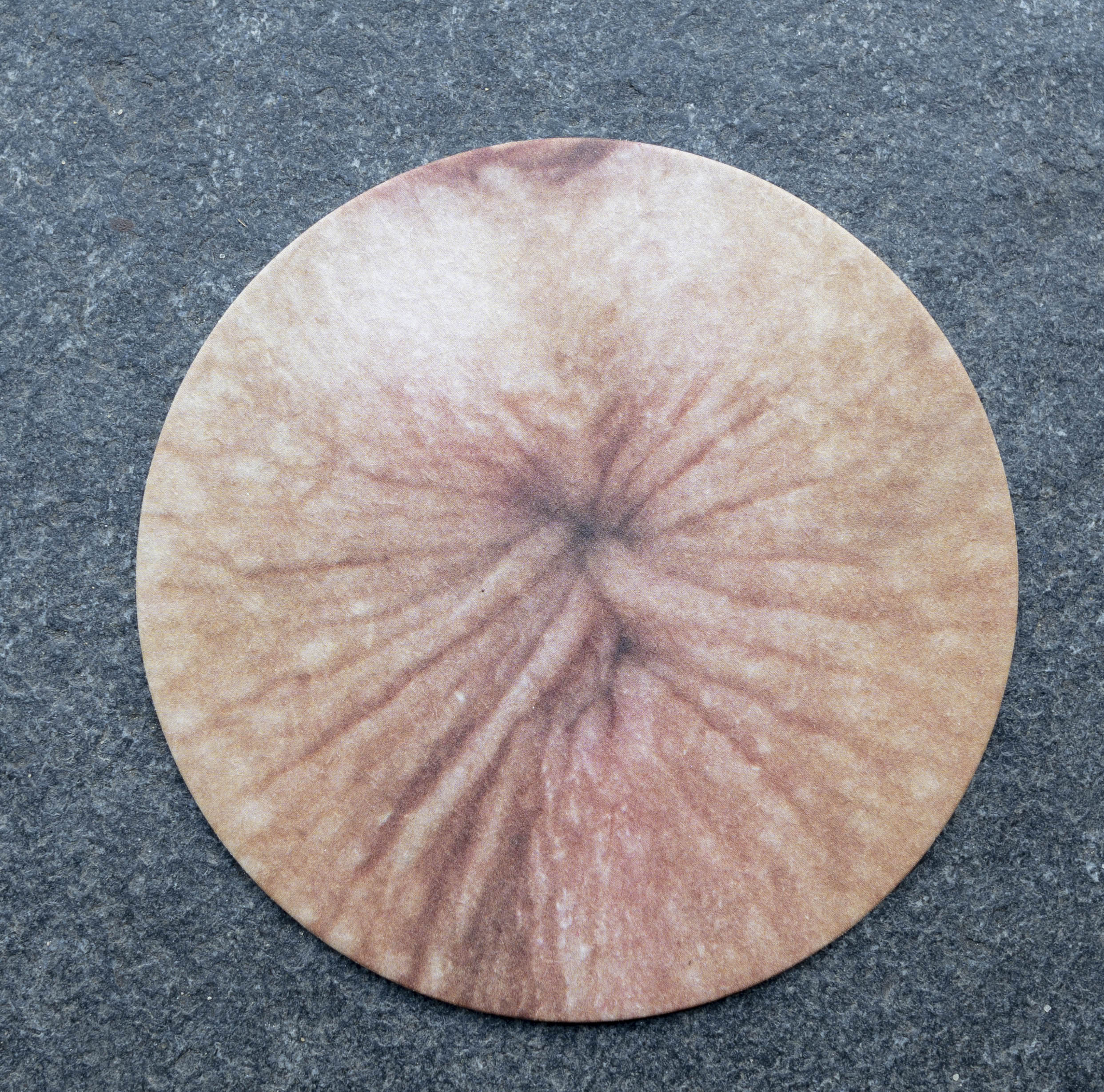 Bierdeckel Bier Anus Nippel beidseitig bedruckt Fun Untersetzer Party