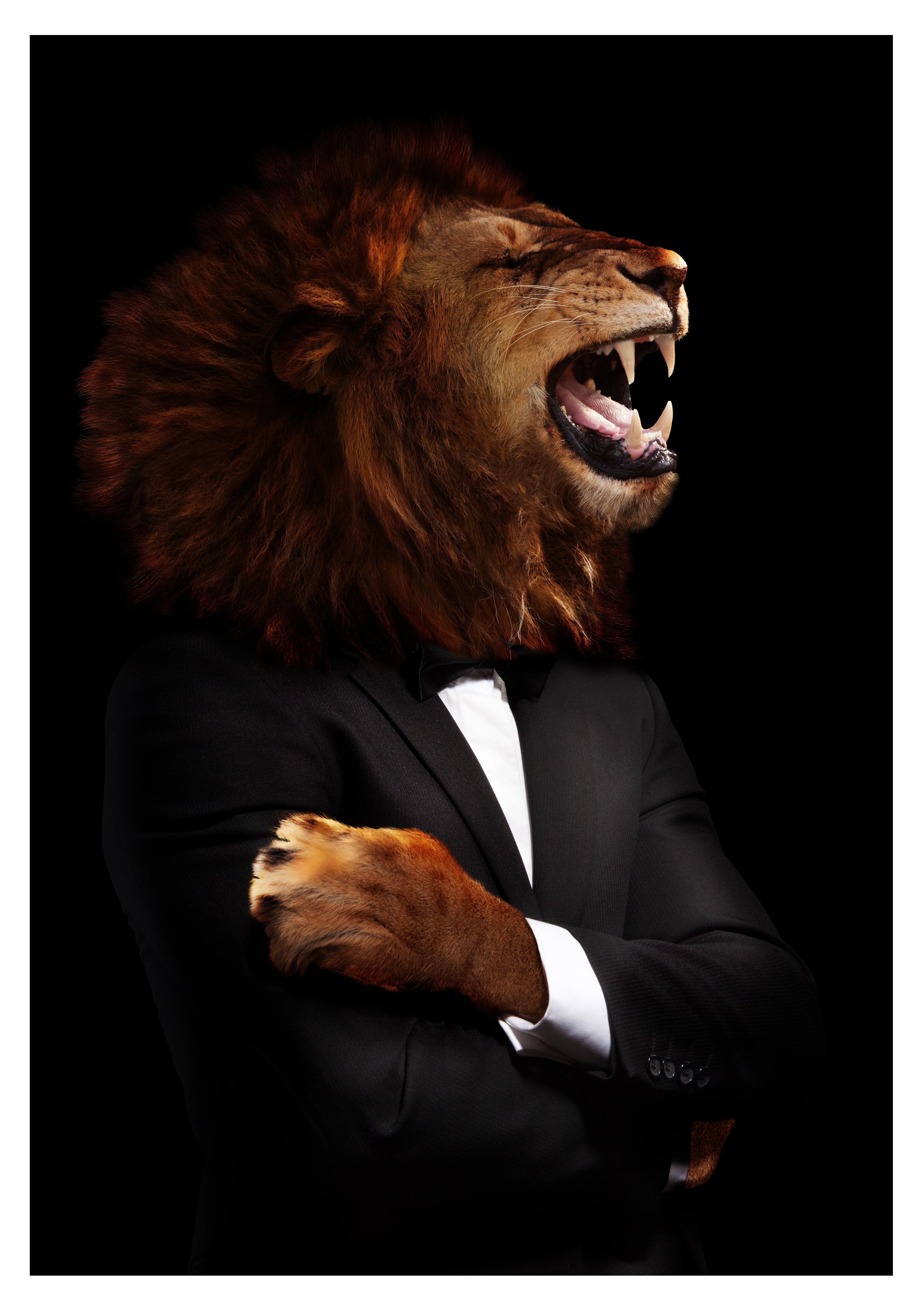 Wandbild Hochformat Titel: Löwe Boss im Anzug - Bild Wanddeko Alu Dibond Leinwand Acrylglas Holzbalken Butlerfinish Poster