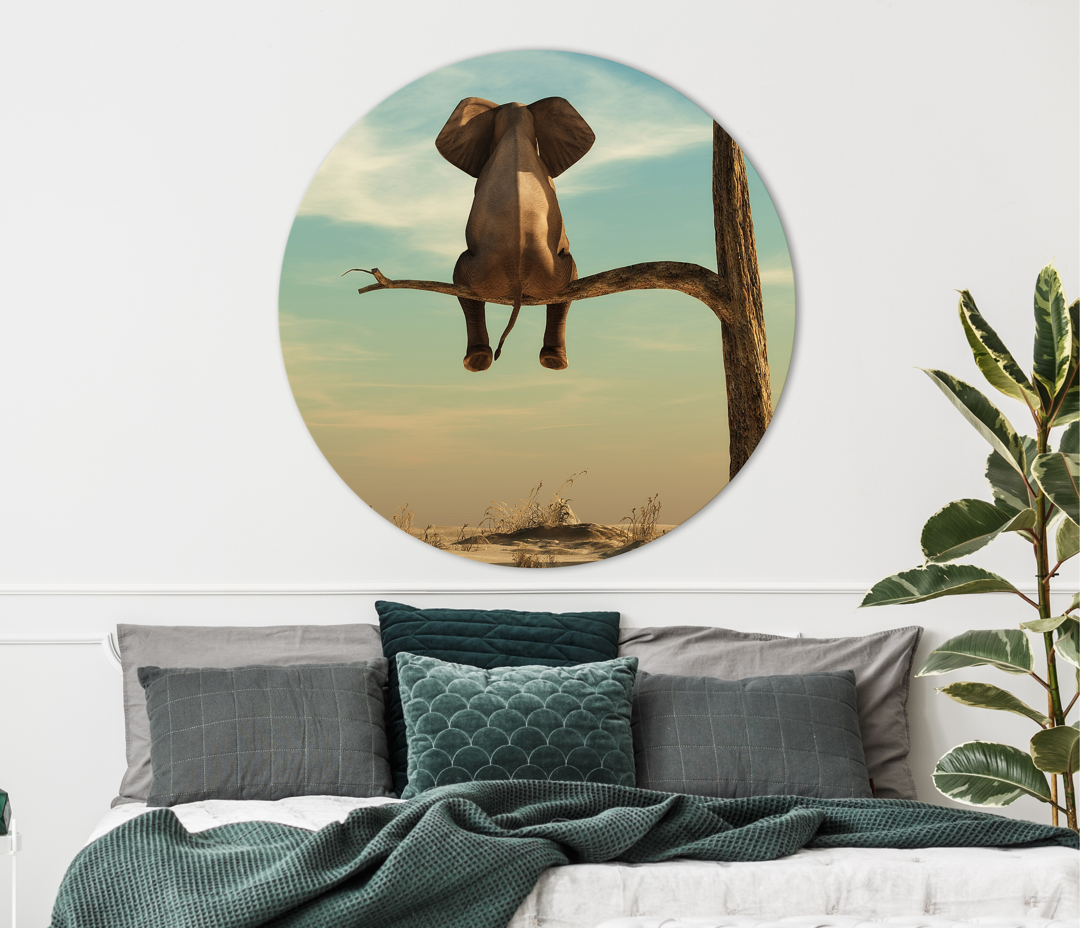 Wandbild Rund Titel: Elefant Baum Wüste Lustig- Bild Wanddeko Alu Dibond oder Butlerfinish