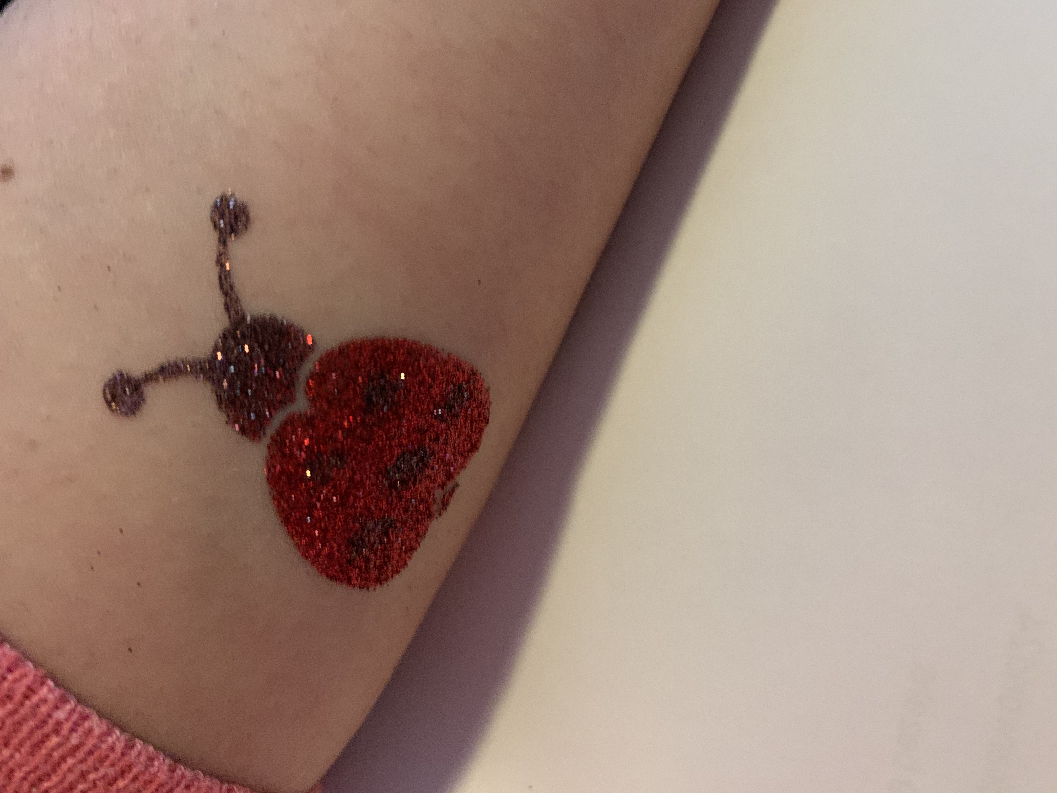 Tattoo Schablone Marienkäfer Ladybug Selbstklebend Kinder Schminken Airbrush Frühling