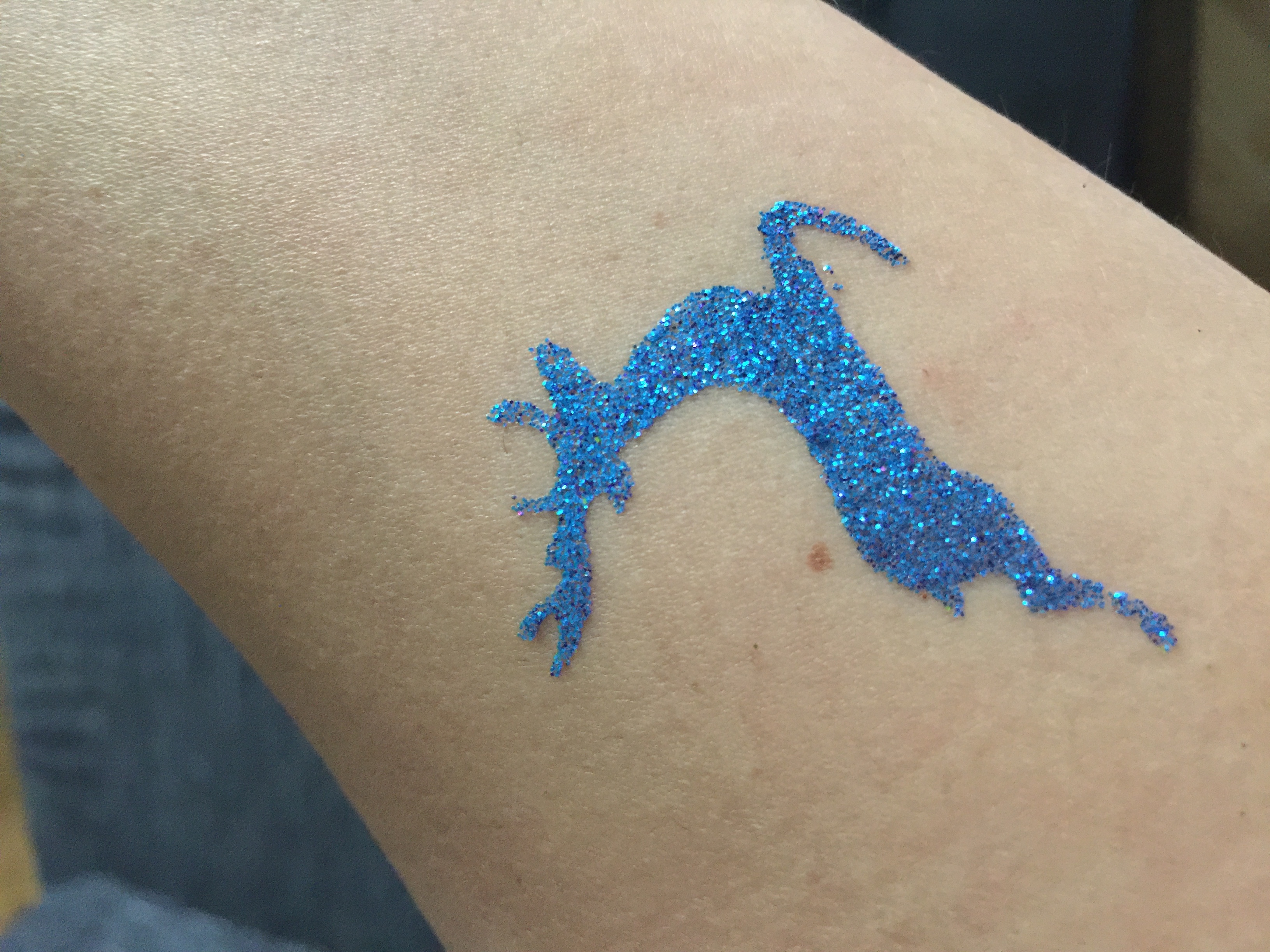 Tattoo Schablonen SET Kinder Winter-Frost 12 Schablonen Selbstklebend schminken Airbrush Geschenk