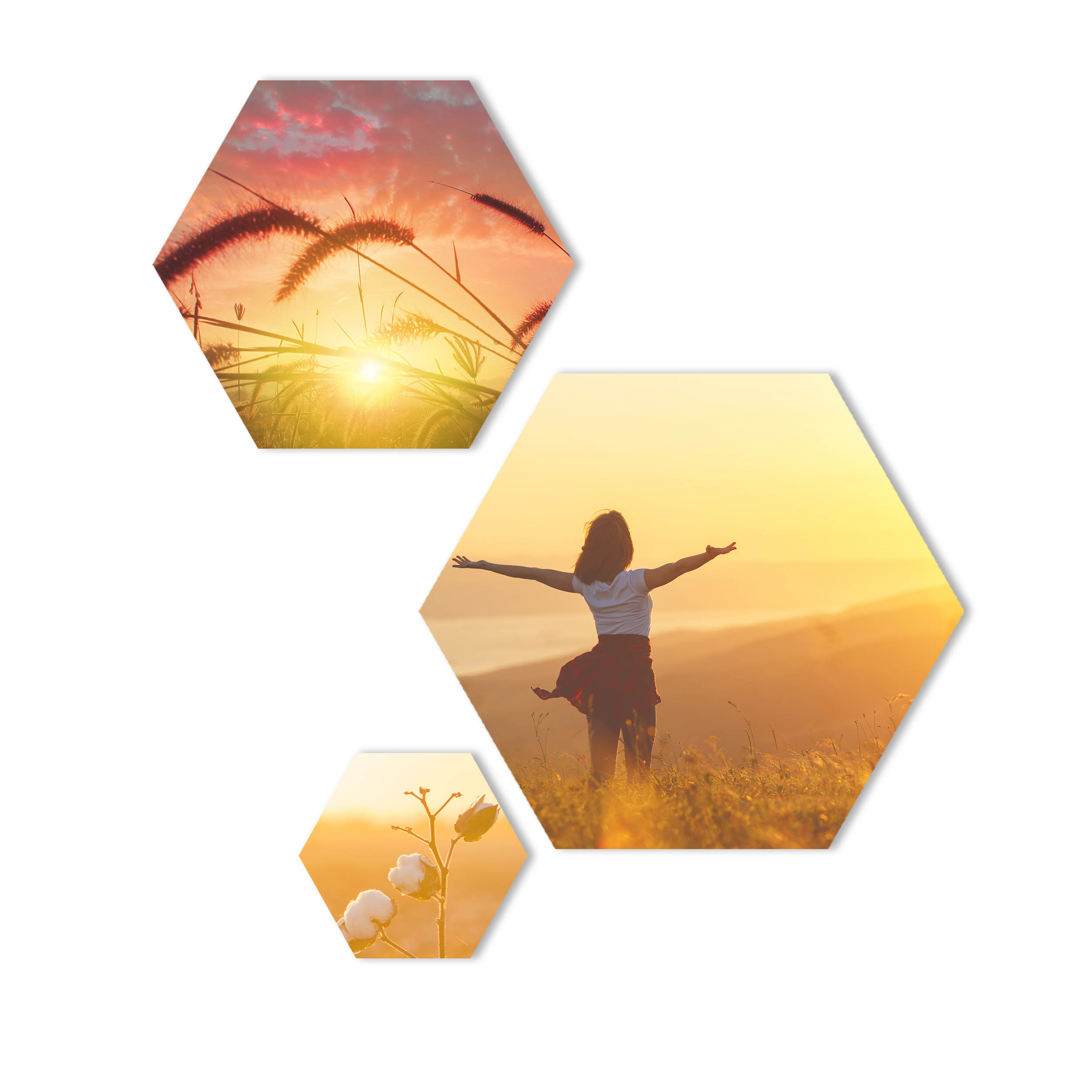 Hexagon Wabe Mix Wandbilder - Gestalten Sie Ihre Wanddeko mit Ihren eigenen Bild oder Fotos selber. Fotogeschenke personalisiert mit Wunschmotiv